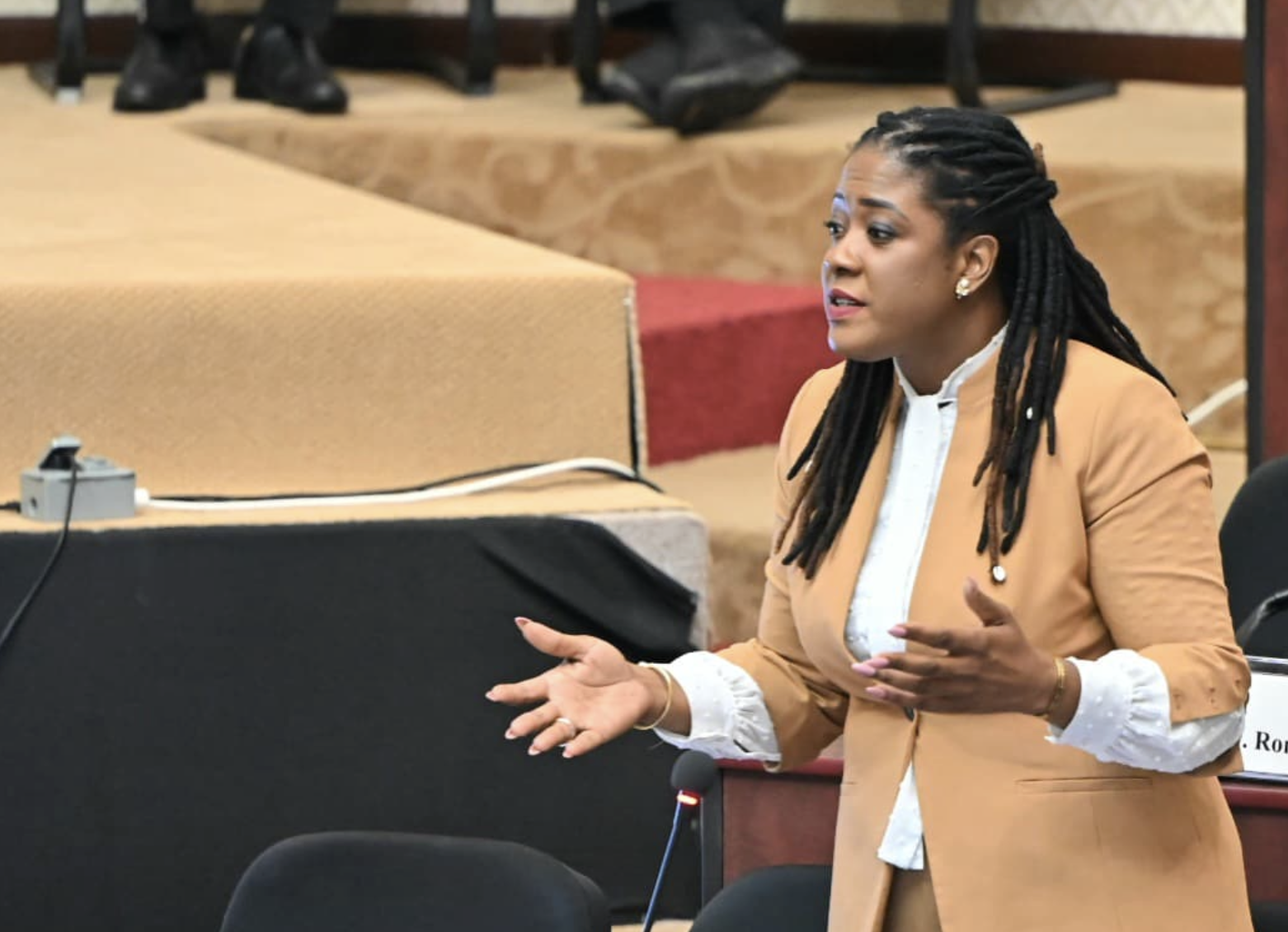 Walton-Desir wants election to be held for Opposition Leader ahead of Budget presentation